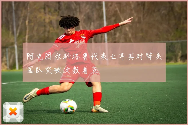 阿克图尔科格鲁代表土耳其对阵美国队突破次数看点