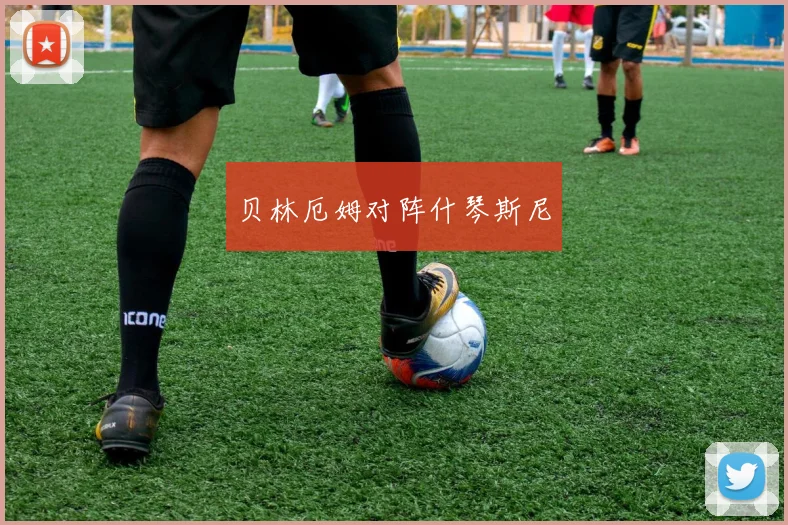贝林厄姆对阵什琴斯尼