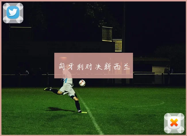 匈牙利对决新西兰