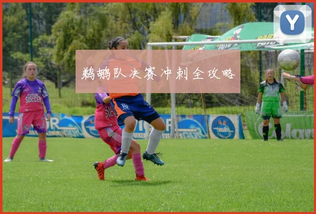 鹈鹕队决赛冲刺全攻略