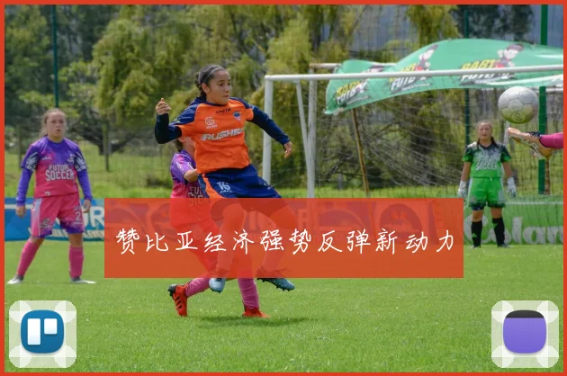 赞比亚经济强势反弹新动力