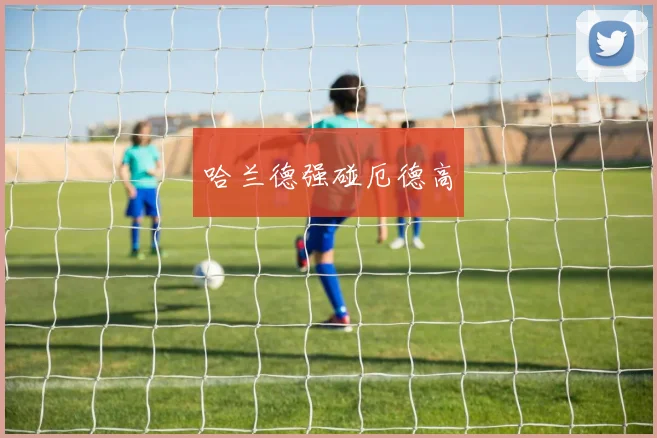 哈兰德强碰厄德高