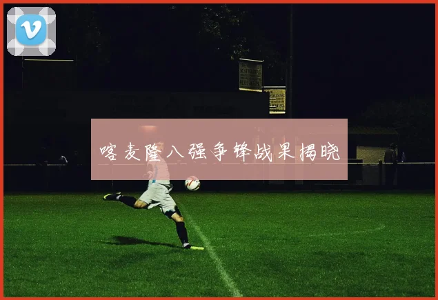 喀麦隆八强争锋战果揭晓