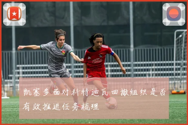 凯塞多面对科特迪瓦回撤组织是否有效推进任务梳理