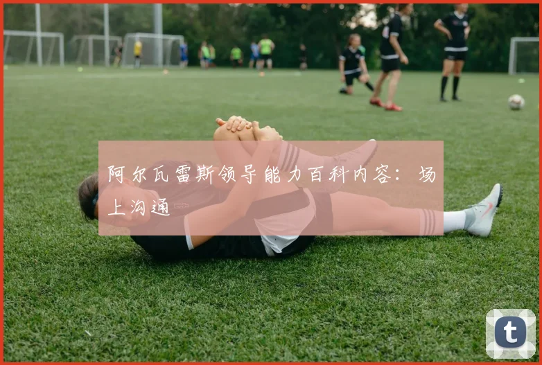 阿尔瓦雷斯领导能力百科内容：场上沟通