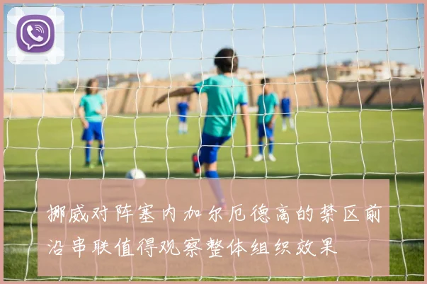 挪威对阵塞内加尔厄德高的禁区前沿串联值得观察整体组织效果